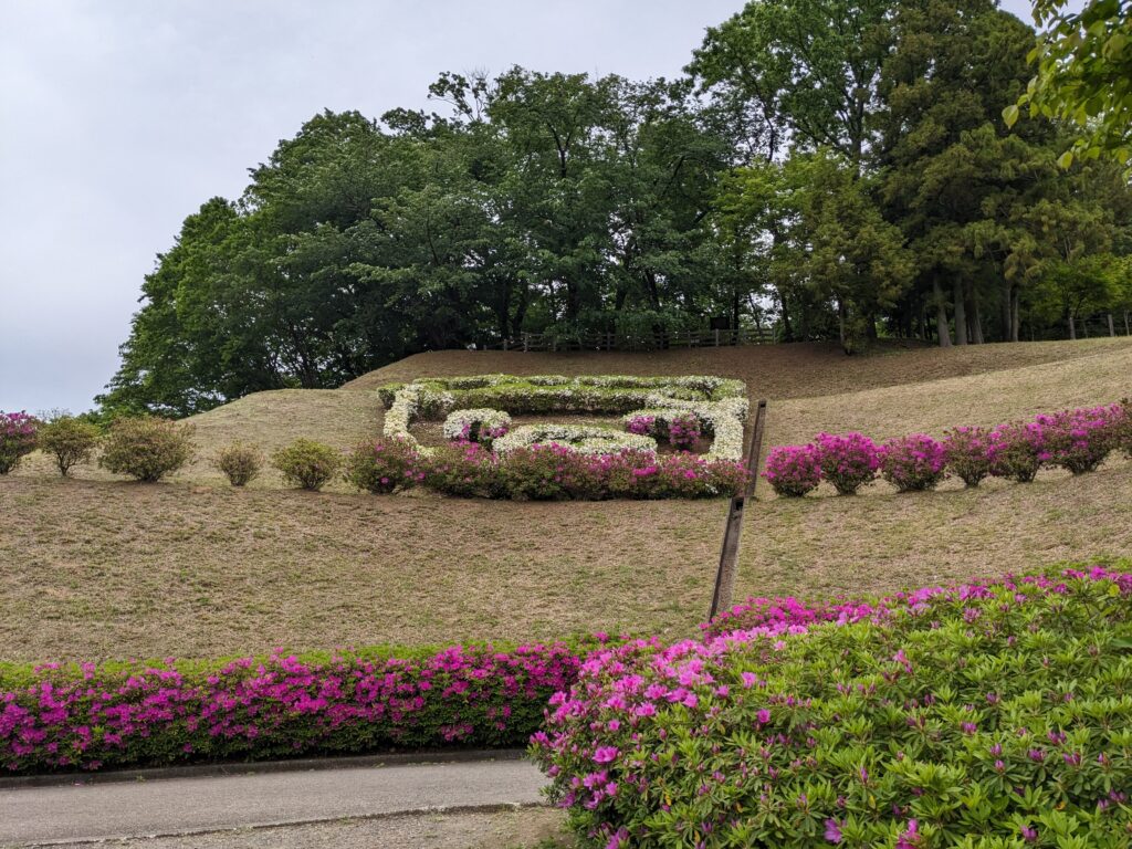 あつぎつつじの丘公園のツツジ(あゆコロちゃん)