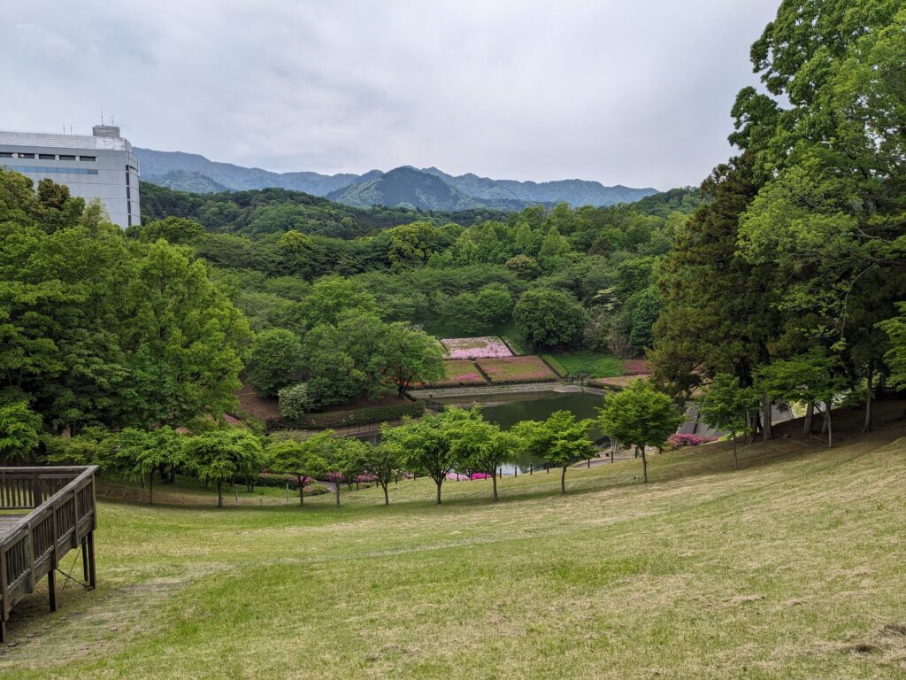 あつぎつつじの丘公園の森のステージの横からの風景