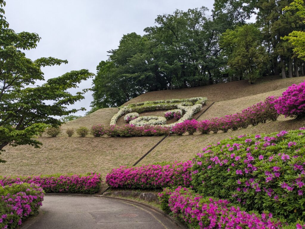 あつぎつつじの丘公園のツツジ(あゆコロちゃん)