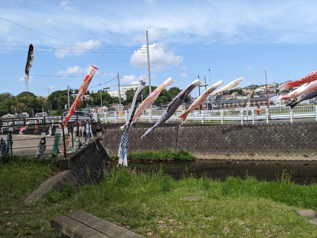 厚木市の恩曽川(地蔵橋親水広場)沿いの鯉のぼり