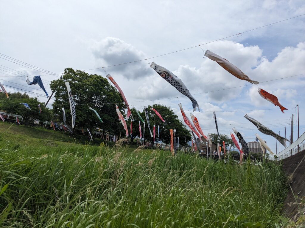 厚木市の恩曽川(地蔵橋親水広場)沿いの鯉のぼり