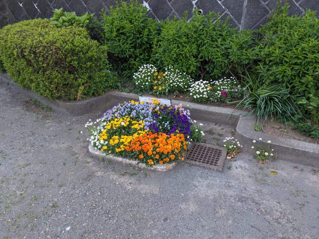 厚木の大六天(だいろくてん)公園の花壇
