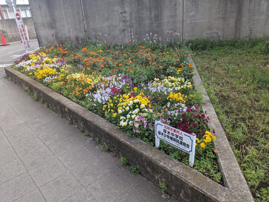 厚木市にある大手公園の花壇